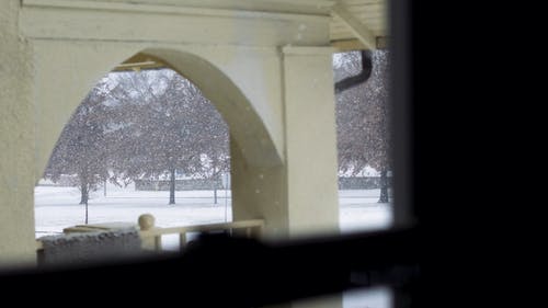 有关下雪, 冬季, 大雪的免费素材视频