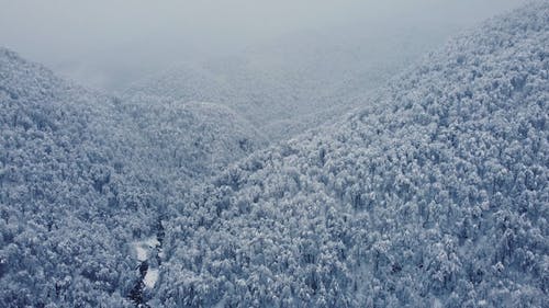 有关冬季, 冷, 坏心情的免费素材视频