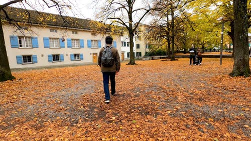 有关人, 天性, 夹克的免费素材视频