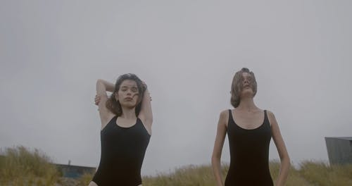 有关一对, 一起, 两个人的免费素材视频