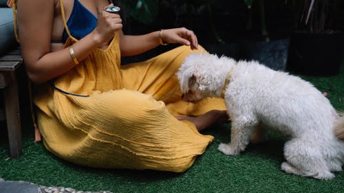 有关享受, 冷, 坐的免费素材视频