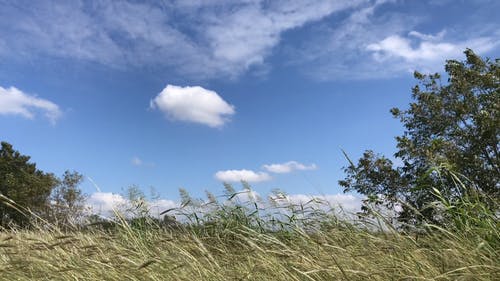 有关多风, 天性, 天空的免费素材视频