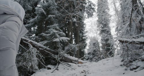 有关下雪的天气, 人, 低角度的免费素材视频