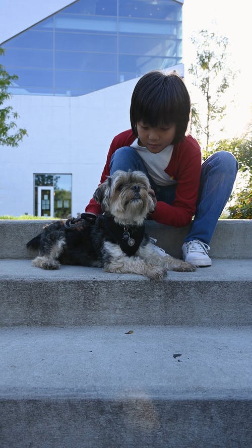 有关儿童, 动物, 垂直视频的免费素材视频