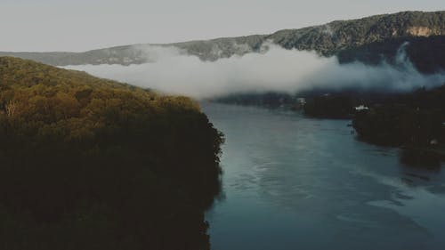 有关天性, 平静, 户外的免费素材视频