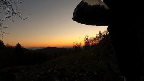有关冒险, 剪影, 后视图的免费素材视频