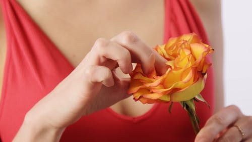 有关女人, 性欲, 手的免费素材视频