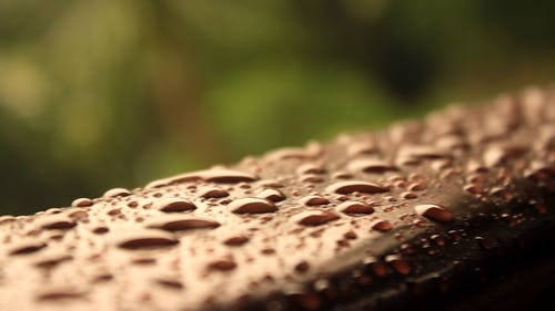 有关下雨, 下雨天, 农业用地的免费素材视频