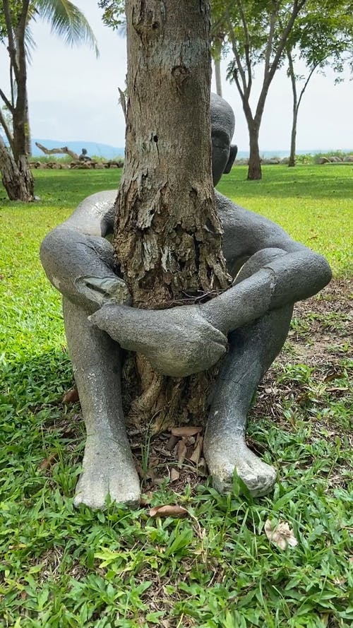 有关假日, 坐, 垂直视频的免费素材视频