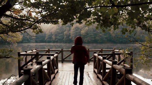 有关人, 後视图, 木的免费素材视频