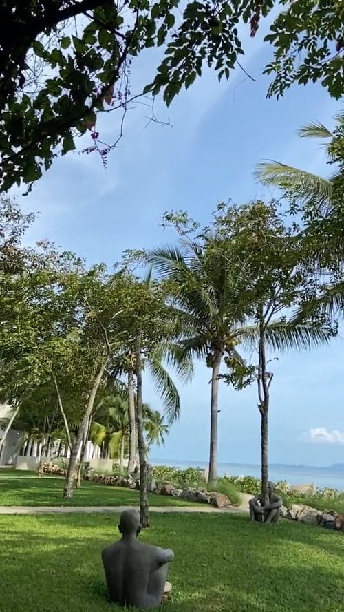 有关垂直视频, 夏天, 岛的免费素材视频