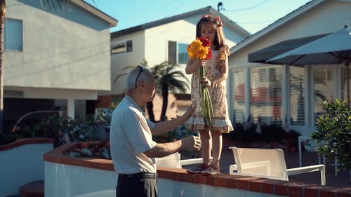 小女孩站在栅栏上，手捧鲜花与她的祖父 · 免费素材视频