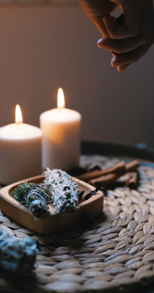 有关乾燥花, 垂直视频, 手指的免费素材视频