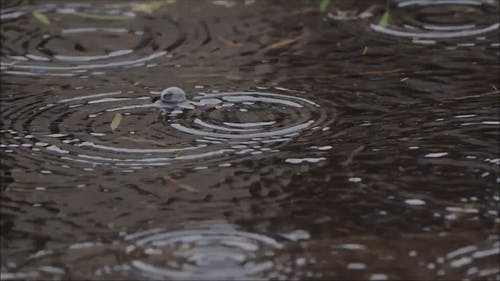 有关H2O, 下雨, 天气好的免费素材视频