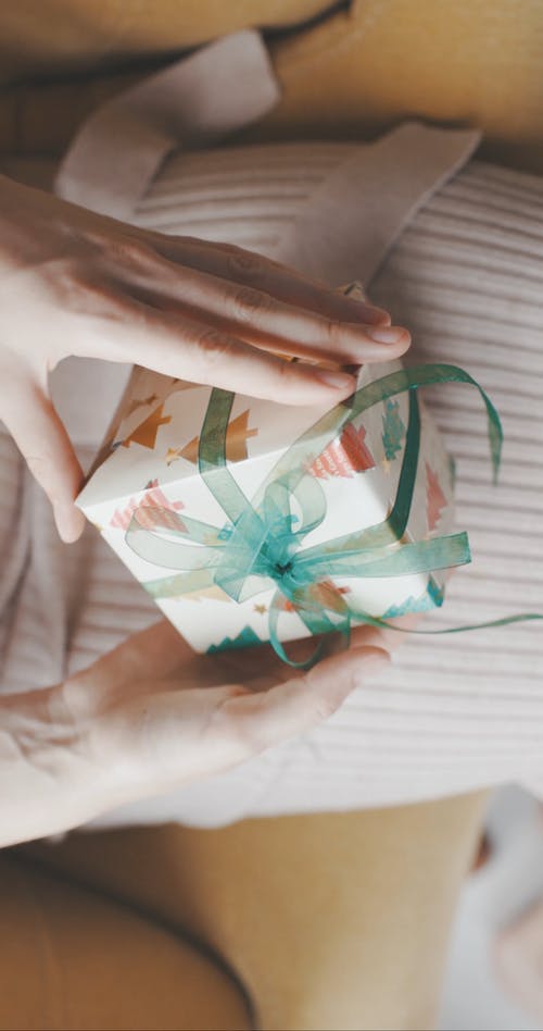 有关俯视图, 单人沙发, 坐的免费素材视频