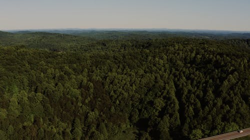 有关广大, 无人机视频, 景观的免费素材视频