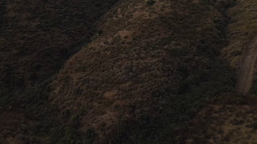 有关和平的, 地平线, 天性的免费素材视频