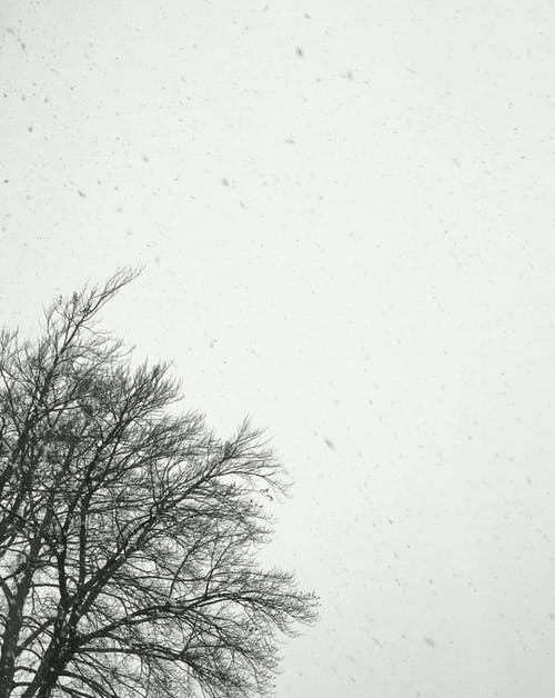 有关下雪, 冬季, 垂直视频的免费素材视频