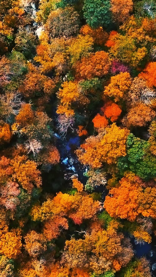 有关atmosfera de outono, 从上面查看, 俯视图的免费素材视频