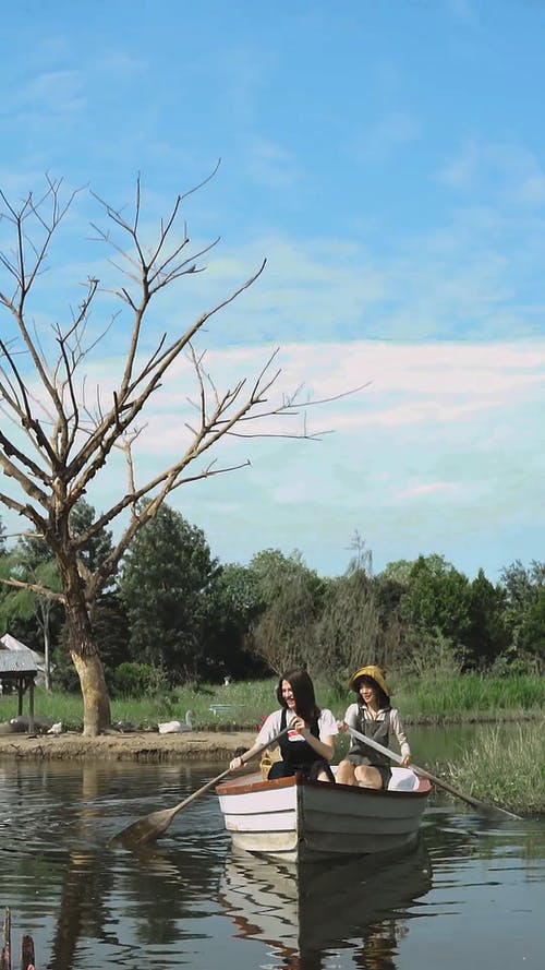 有关划桨, 友谊, 垂直视频的免费素材视频