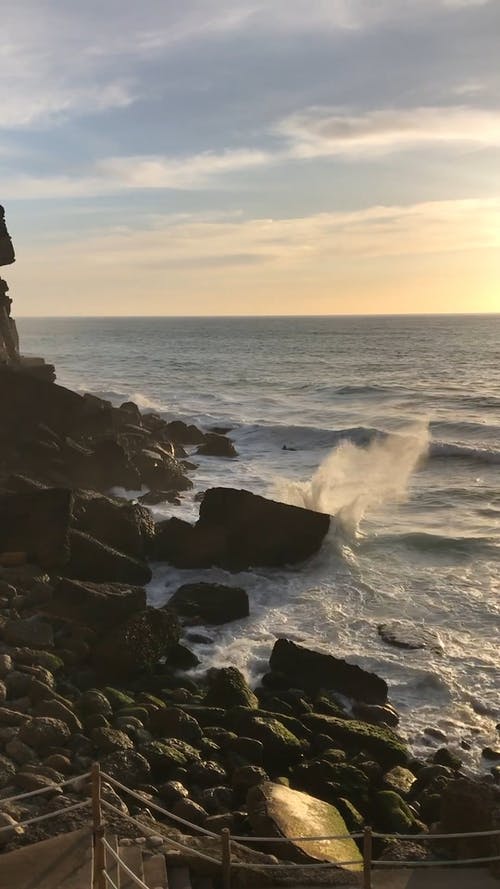 有关垂直视频, 天性, 天空的免费素材视频