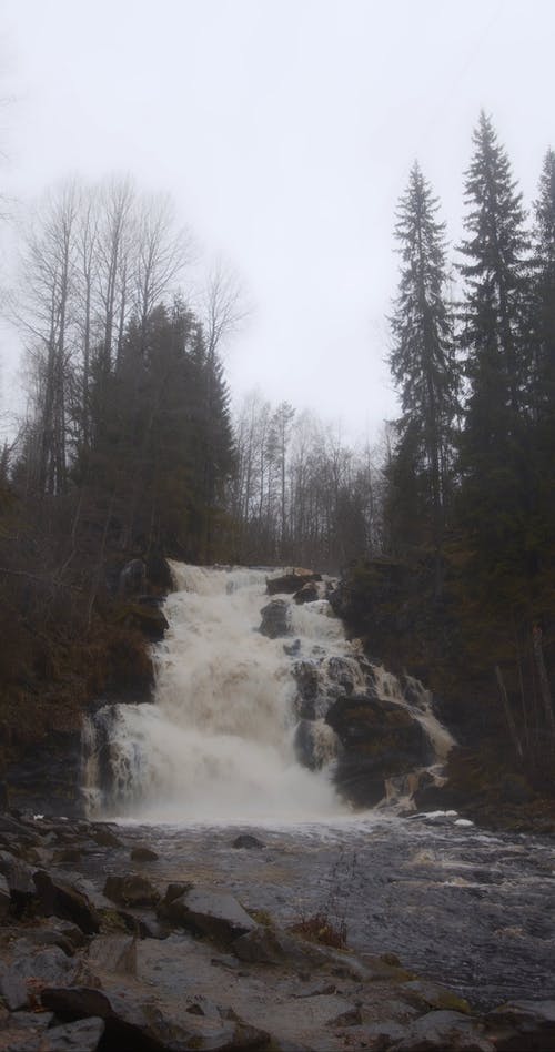 有关垂直视频, 天性, 岩石的免费素材视频