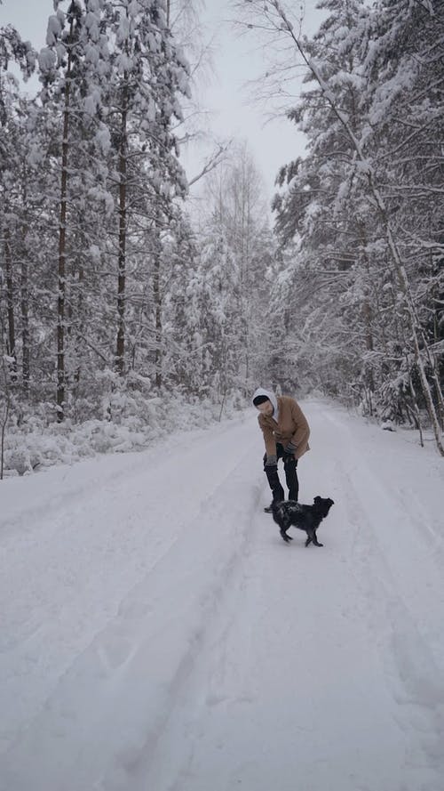 有关下雪的, 人, 冬季的免费素材视频