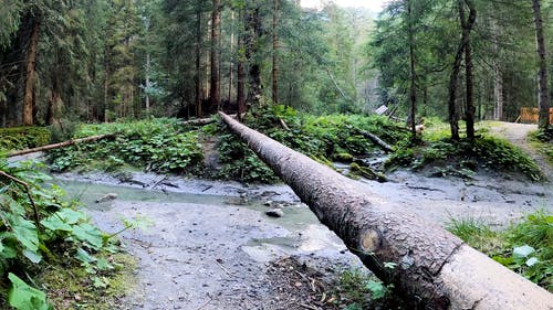 有关人, 休闲, 健行的免费素材视频