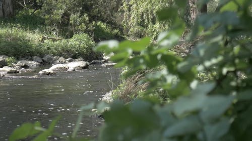 有关和平的, 天性, 宁静的免费素材视频