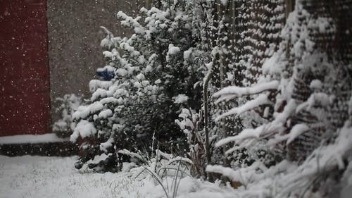 有关@户外, 下雪, 下雪的的免费素材视频