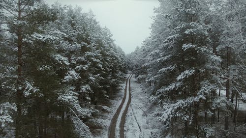 有关冬季景观, 户外, 白雪覆盖的地面的免费素材视频