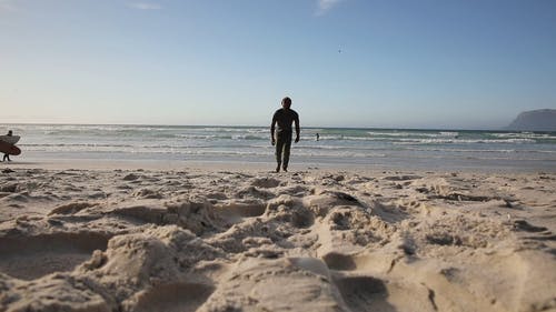 有关人, 地平线, 天性的免费素材视频