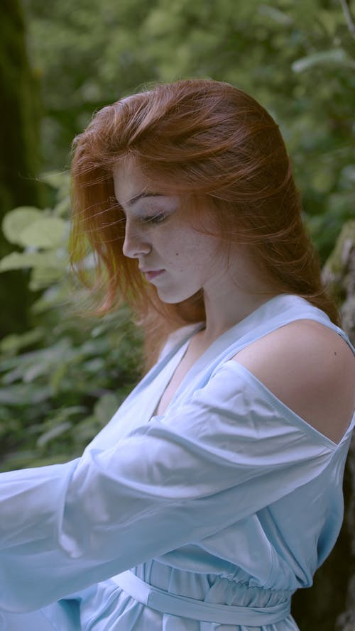 有关侧面图, 丛林, 和平的的免费素材视频