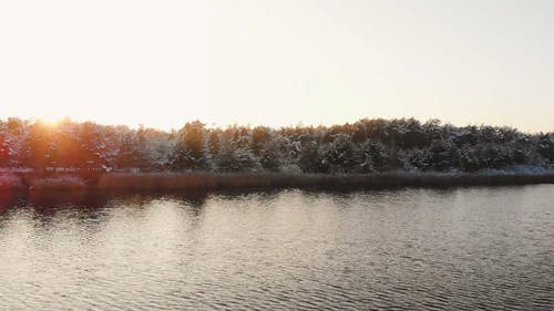 有关forestpark, 下雪的, 冬季的免费素材视频