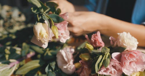 有关不露面, 充满活力, 分公司的免费素材视频