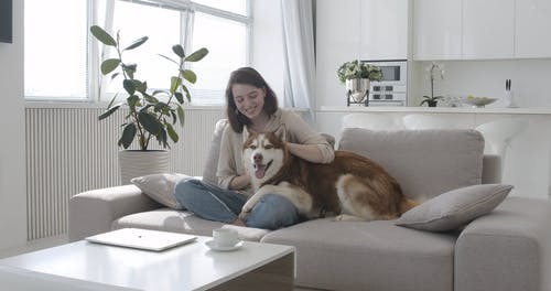 有关一杯咖啡, 坐, 女人的免费素材视频