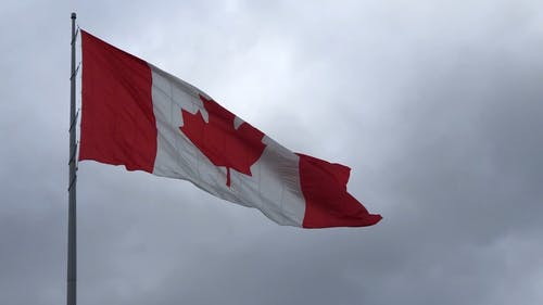 有关加拿大, 加拿大国旗, 国家的免费素材视频