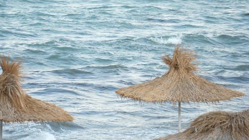 有关夏天, 多风, 天性的免费素材视频