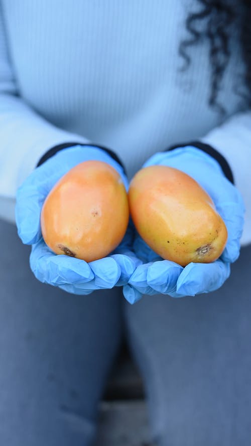 有关垂直视频, 手套, 握住的免费素材视频