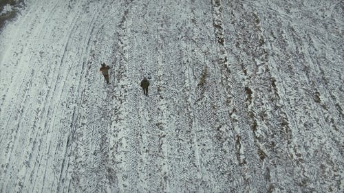 有关下雪的, 冰, 冷的免费素材视频