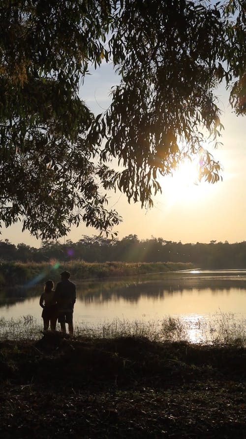 有关一对, 人, 垂直视频的免费素材视频