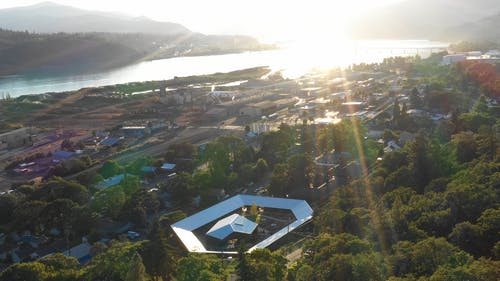 有关居住区, 户外, 树木的免费素材视频