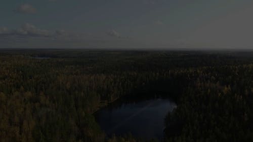 有关公园, 天性, 户外的免费素材视频