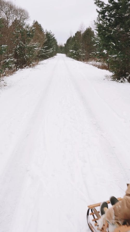 有关oudoors, 下雪, 享受的免费素材视频