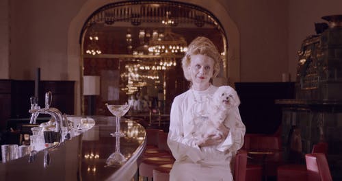 有关优雅, 参考, 女士的免费素材视频