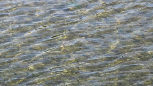 有关天气好, 户外, 招手的免费素材视频