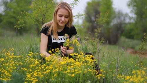 有关坐下, 夏天, 天性的免费素材视频