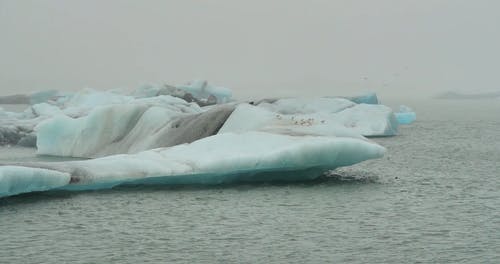 有关冰, 冰河, 冷的免费素材视频