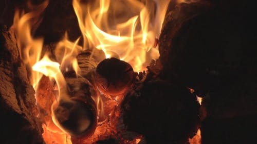 有关原本, 壁炉, 柴火的免费素材视频