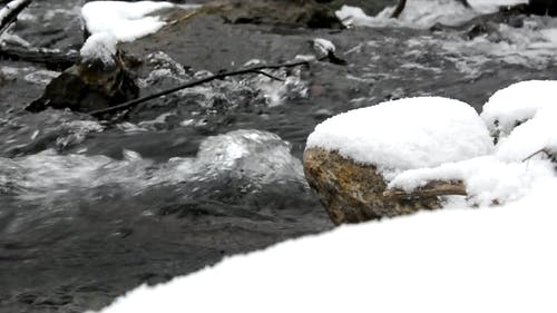 有关冻结的, 大雪覆盖, 天性的免费素材视频